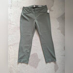 Gap NWT  Curvy Straight Skinny Ankle pants size 14